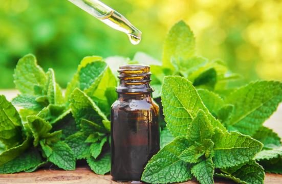 Fresh organic mint leaves used by Main Street Tonics as a natural ingredient in herbal tonics and plant-based wellness blends.