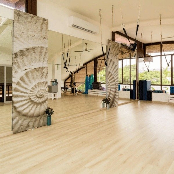 Aerial Yoga and Movement Studio with Natural Light – Holis Wellness Center Manuel Antonio Costa Rica